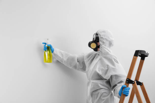 Best Mold Remediation for Healthcare Facilities  in North Laurel, MD